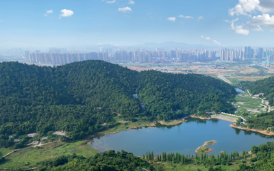 大奖国际18dj18(中国游)官方网站